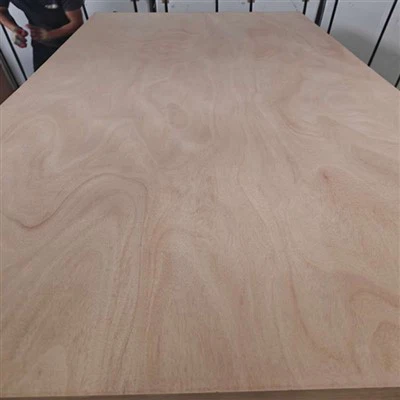 Madera contrachapada Okoume de 18 mm de grado comercial 4X8